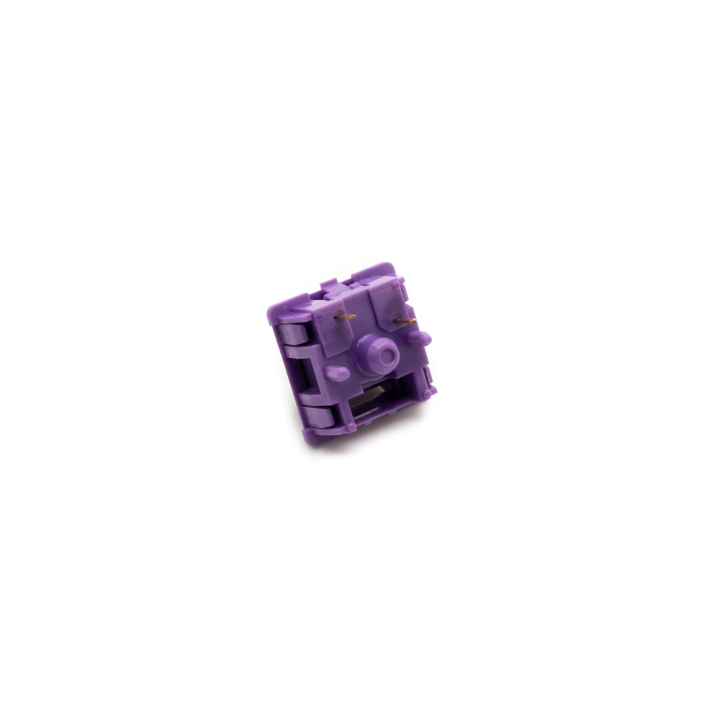 Tecsee Purple Pandas